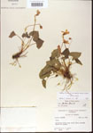000013630-thumbnail.jpg