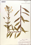000013861-thumbnail.jpg