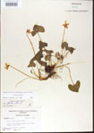 000013928-thumbnail.jpg