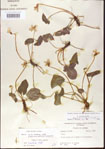 000013929-thumbnail.jpg