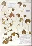000013933-thumbnail.jpg