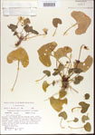 000013934-thumbnail.jpg