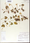 000013935-thumbnail.jpg