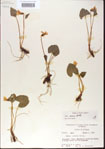000013937-thumbnail.jpg