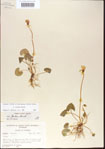 000013942-thumbnail.jpg