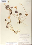 000013944-thumbnail.jpg
