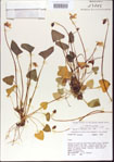 000013952-thumbnail.jpg