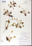 000013953-thumbnail.jpg