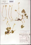 000013954-thumbnail.jpg