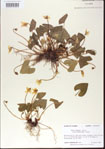 000013956-thumbnail.jpg