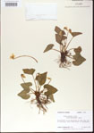 000013957-thumbnail.jpg