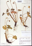 000013959-thumbnail.jpg