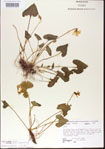 000013960-thumbnail.jpg