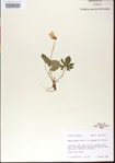 000013966-thumbnail.jpg