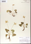 000013968-thumbnail.jpg