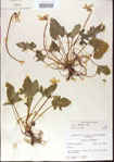 000013970-thumbnail.jpg