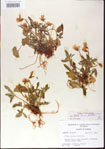 000013971-thumbnail.jpg