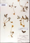 000013972-thumbnail.jpg