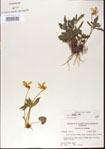 000013976-thumbnail.jpg