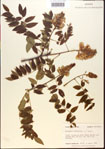 000015430-thumbnail.jpg
