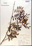 000015434-thumbnail.jpg