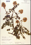 000015448-thumbnail.jpg