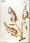 000015456-thumbnail.jpg