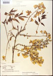 000015459-thumbnail.jpg