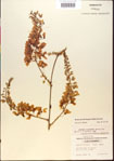 000015460-thumbnail.jpg