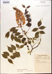 000015482-thumbnail.jpg