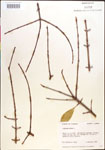000015822-thumbnail.jpg