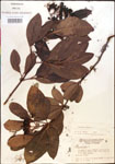 000015833-thumbnail.jpg