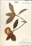 000015834-thumbnail.jpg