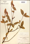 000015837-thumbnail.jpg