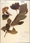 000015839-thumbnail.jpg