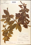 000015843-thumbnail.jpg
