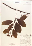 000015851-thumbnail.jpg