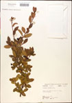 000015876-thumbnail.jpg
