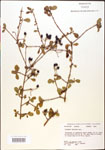 000015878-thumbnail.jpg