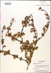 000015879-thumbnail.jpg