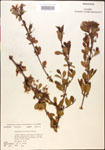 000015887-thumbnail.jpg