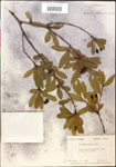 000015890-thumbnail.jpg