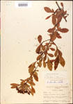 000015892-thumbnail.jpg