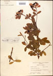 000015893-thumbnail.jpg