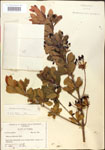 000015895-thumbnail.jpg