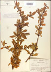 000015896-thumbnail.jpg