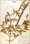 000015897-thumbnail.jpg