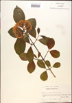 000015912-thumbnail.jpg