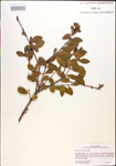 000015926-thumbnail.jpg