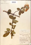 000015927-thumbnail.jpg